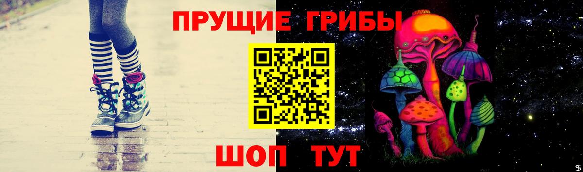 Псилоцибиновые грибы Psilocybine cubensis Юрга
